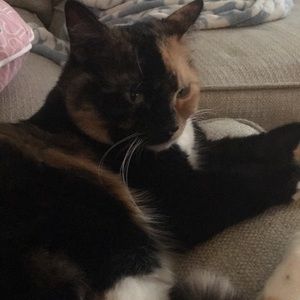 Meet your Posher, Chelsea